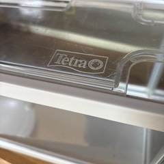 テトラ水槽の画像