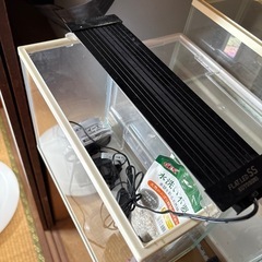 水槽セット