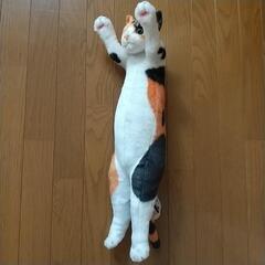 たっちいZoo  三毛猫