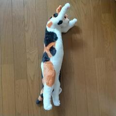 たっちいZoo  三毛猫の画像