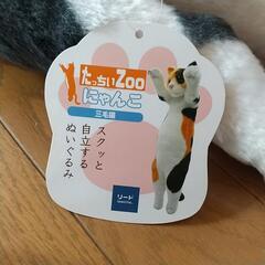 たっちいZoo  三毛猫の画像