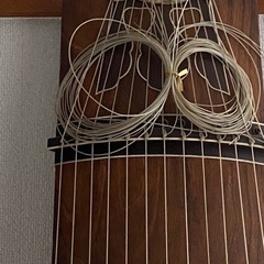 箏