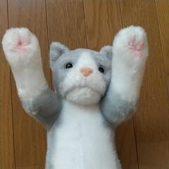たっちいZooグレーの画像