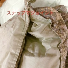 羽毛布団夏合2枚セット の画像