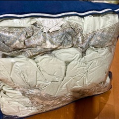 羽毛布団夏合2枚セット の画像