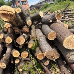 薪ストーブ 🪵 薪風呂 キャンプ 焚き火　 6/19(木)〜来れる方　 無くなるまで　太さ 長さ 色々あります　の画像