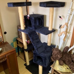 キャットタワー