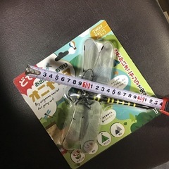 どでかオニヤンマの画像