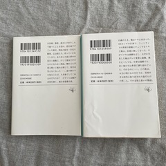 西加奈子 小説の画像