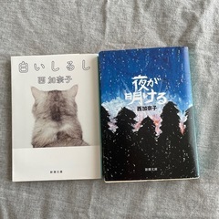 西加奈子 小説