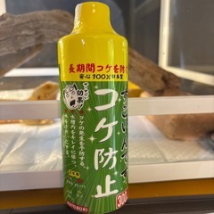 すごいんですコケ防止
