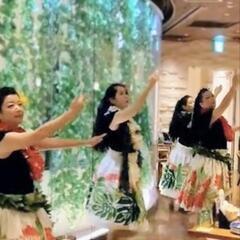 フラダンサー&フラ仲間募集 - 横浜市