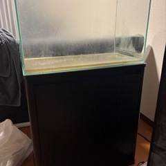 60cm水槽 水槽台セット