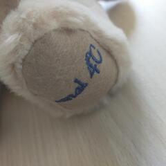 4℃オルゴール ぬいぐるみの画像