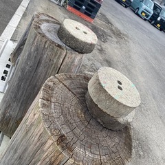 大きめの丸太
の画像