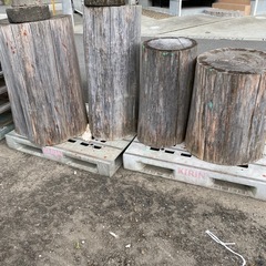 大きめの丸太
の画像