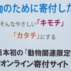 ポケモンカードゲーム テラスタルフェスex シュリンク付き 新品未開封 BOX ポケモンセンターオンライン当選品の画像