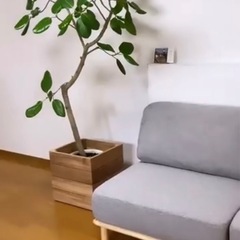 プランターケース 木製ケースの画像