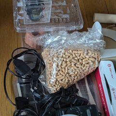 ニジイロクワガタ（ピカール系）♂58ｍｍ　♀（レット）38ｍｍ　合計2匹　飼育セット（色々)  すべて無料の画像