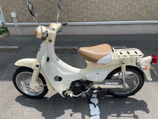 リトルカブ　