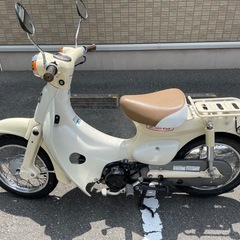 リトルカブ　の画像