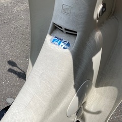 リトルカブ　の画像