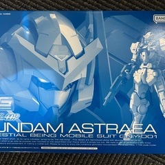 ＲＧ 1/144 ガンダムエクシア用 ガンダムアストレアパ…