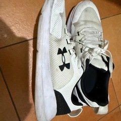 アンダーアーマー UNDER ARMOR スニーカー 25.5cmの画像