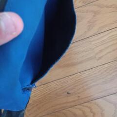LAショルダーバッグ最終値下げの画像