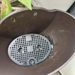 プランター