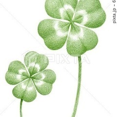 初めまして😊　仲良くなってLINEしましょう☺️🍀