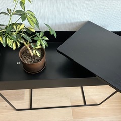 2WAYで楽しめるプランター台の画像