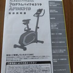 ALINCO プログラムバイク AFB6319の画像