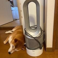 ダイソンヒーター