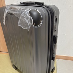 取引中　スーツケース 機内持ち込み M 4〜7泊 グレーの画像
