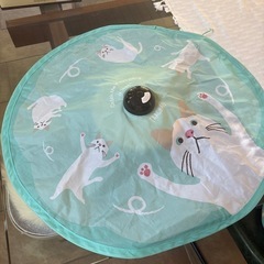 猫じゃらし自動