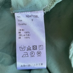 LUPILIEN 緑シャツの画像