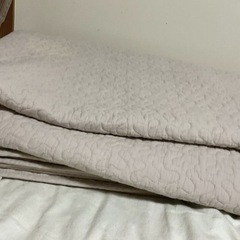 ラグ　マット　 実測縦255✖️横200cm   綿100%   グレー   複数シミや色抜け有  中国製  の画像
