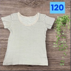 子供用インナーシャツ❤ボーダー柄 アンダーシャツ　120サイズ　肌着