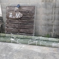 流しそうめんなどに🎋