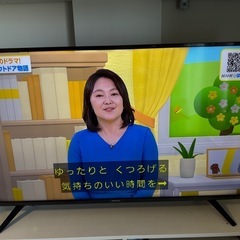 ハイセンス液晶テレビ50A6100の画像