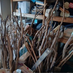 流木　※沢山持って行ってくれる方限定の画像