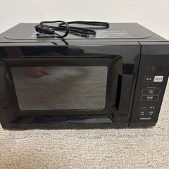 電車レンジ