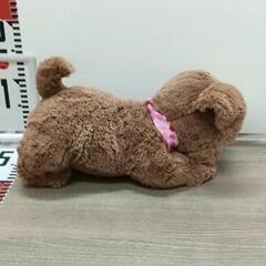0622-046 おしゃべりダッキーの画像