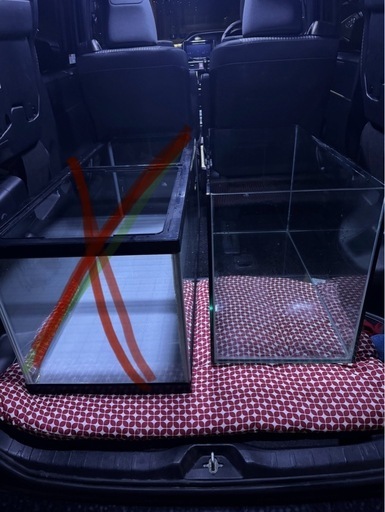 オールガラス水槽900 
本日で掲載終了いたします