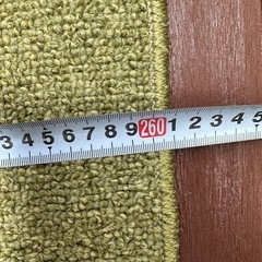 期間限定1000円ポッキリ！値下げ中！【早い者勝ち！】ニトリ　カーペット　ラグ　約260×260cm グリーン　Nインスパイアの画像