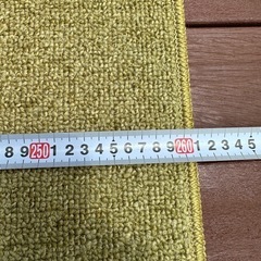 期間限定1000円ポッキリ！値下げ中！【早い者勝ち！】ニトリ　カーペット　ラグ　約260×260cm グリーン　Nインスパイアの画像