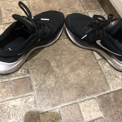 レディース　スニーカー　NIKE中古の画像