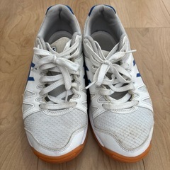 アシックスasicsシューズの画像
