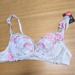 ワコールサルート
